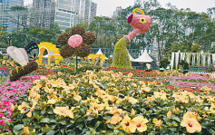 香港花展明年3月復辦 有花卉檔9萬元成交 高底價8倍