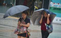 【记得带遮】雷雨区移近 未来一两小时影响香港