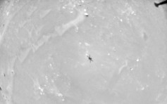 火星直升機「機智號」首現問題 前後搖擺失平衡傾側20度