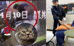 寵物醫院男實習護士躲監控死角虐貓 玻璃反光揭惡行