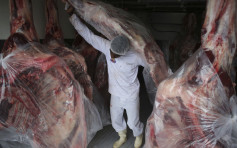 巴西2400名肉品工廠工人染疫 成新冠肺炎溫牀 