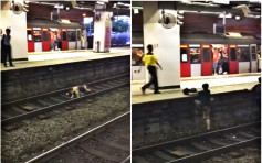 沙田站2男乘客打到落轨道 涉公衆地方打架被捕