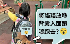 【维港会】女童装猫入背囊公园玩耍 网民批当生命系玩具