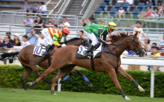 澳洲解除香港马匹运澳限制 马会表达欢迎