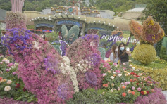 【维港会】海洋公园「蝶舞花旅」周六盛放 50品种近八百盆鲜花