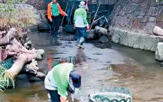 外判工違規洗水池 九龍公園3魚「乾煎」亡