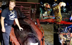 鲸鱼搁浅菲律宾吐血惨死 解剖惊现40公斤胶袋