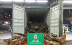 海關檢34噸受管制木材 市值110萬元