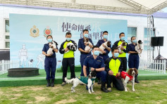海關消防處成功孕育6犬隻 將訓練成搜查犬及搜救犬