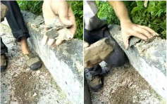 四川宜賓灌溉水渠一捏就碎 揭發豆腐渣工程