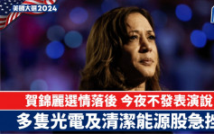 贺锦丽选情落后 今夜不发表演说 多只光电及清洁能源股急挫