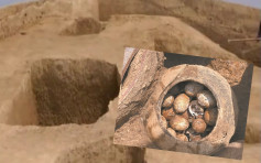 江蘇春秋土墩墓挖出整罐雞蛋 距今約2500年歷史 
