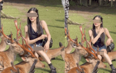 短裙女「硬坐」奈良鹿拍照引關注 網民狂轟後才知鬧錯人