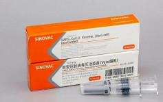 第4批80万剂科兴疫苗运抵香港