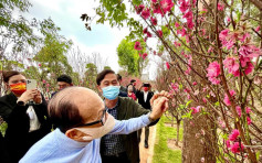 李嘉诚往慈山寺赏桃花 寺方料年初七如期盛开