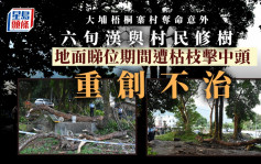 大埔梧桐寨村男子與村民修樹 遭樹幹擊中頭重創亡