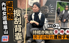 内地女游峨眉山遭恶猴搜刮背囊  坐地大哭：你好丑｜有片