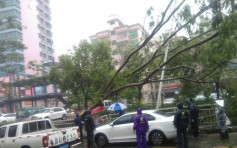 深圳地铁高架区段停驶　地下区段维持有限度服务