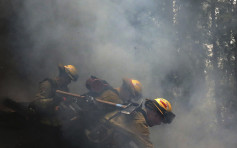 加州消防員助救火被偷錢包 疑犯被捕後寫道歉信