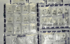 警冚葵青毒品儲存倉檢100萬元貨 20歲仔涉販毒被捕