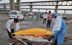 多具确诊者尸体河上漂流 印度民众目睹医护弃尸河中