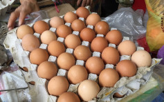 食安中心：全数不合格荷兰蛋堆填区销毁 将扣查所有欧盟蛋