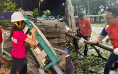 颱風蘇拉︱十號風球蹂躪後民建聯工聯會協力清理善後 助社區及交通盡快復常