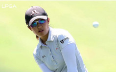 高爾夫球｜陳芷澄弗爆！LPGA比洞賽連勝晉級在望