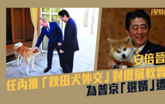 安倍中槍｜任內推「秋田犬外交」對俄展軟實力 為普京「選婿」遭拒 