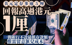 定存攻略｜美元定存多逾5厘 回報高過港元1厘 一間銀行不設最低存款額 惟需留意滙兌成本