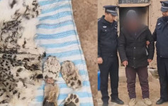新疆男子獵食一級保護動物雪豹　遭刑拘