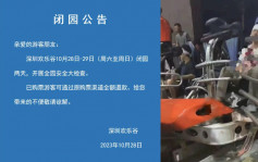 深圳歡樂谷閉園兩天進行安全檢查  過山車追撞親歷者講述驚險一刻