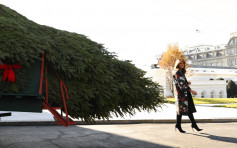 梅拉尼娅接收白宫圣诞树	