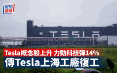 传Tesla上海工厂复工 工人春节后调休逾8天