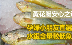 健康talk｜孕婦兒童應避吃水銀較高魚類 黃花屬安心之選