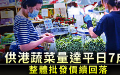 政府：供港蔬菜量达平日7成 整体批发价续回落