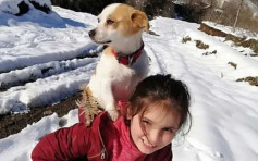 土耳其10歲女孩為救生病狗狗 背牠冒雪徒步3公里找獸醫