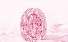 14.8卡最巨型紫粉红钻拍卖2660万美元成交