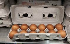多国鸡蛋荒恶化 美国加州一打卖60元 新西兰人争相养鸡免「蛋尽粮绝」