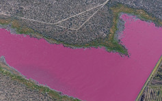 阿根廷工业园惊现「粉红湖」 环团忧水源被污染
