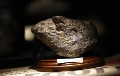 「飛來橫禍」變「飛來橫財」︱隕石一克值千金 中國隕石收藏世界第三