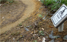 行山无迷途｜免费用三维行人道路网 覆盖郊野公园37条行山径与标距柱