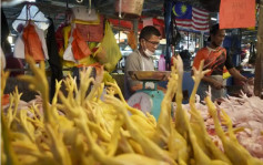 新加坡批准進口印尼雞肉 推動食物來源多元化 