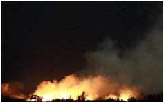 台東雙十放煙花 引發「森林」大火