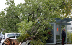 「艾美莉」吹袭法国南部 广泛停电14万人受影响