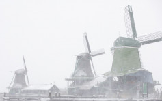 逾10年来首遇暴风雪 荷兰进入红色紧急状态