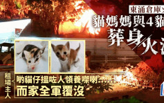 东涌火警｜猫妈妈与4猫B葬身火海惨死 主人：啲猫仔搵咗人领养 而家全军覆没