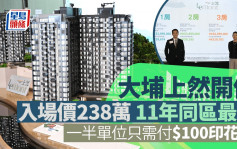 大埔上然首批81伙 入場價238萬 同區11年最平 一半單位只需付100元印花稅