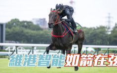 短途馬錦標│「維港智能」在中山競馬場快跳備戰短途馬錦標