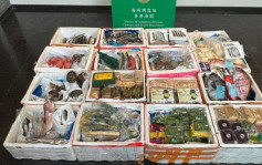 海關東涌偵破快艇走私案 檢54萬元鮮鮑魚等高價食材